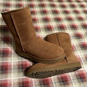 Brand new Ugg classic short boot/Chestnut - no box